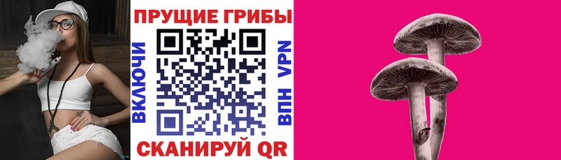 Галлюциногенные грибы GOLDEN TEACHER  блэк спрут онион  Корсаков 